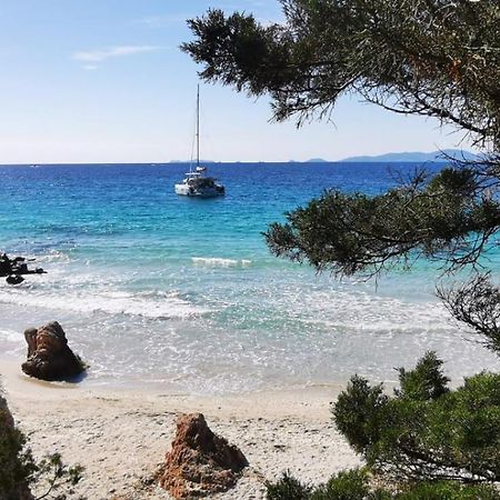 Studio Avec Terasse Vue Mer Porticcio  Εξωτερικό φωτογραφία