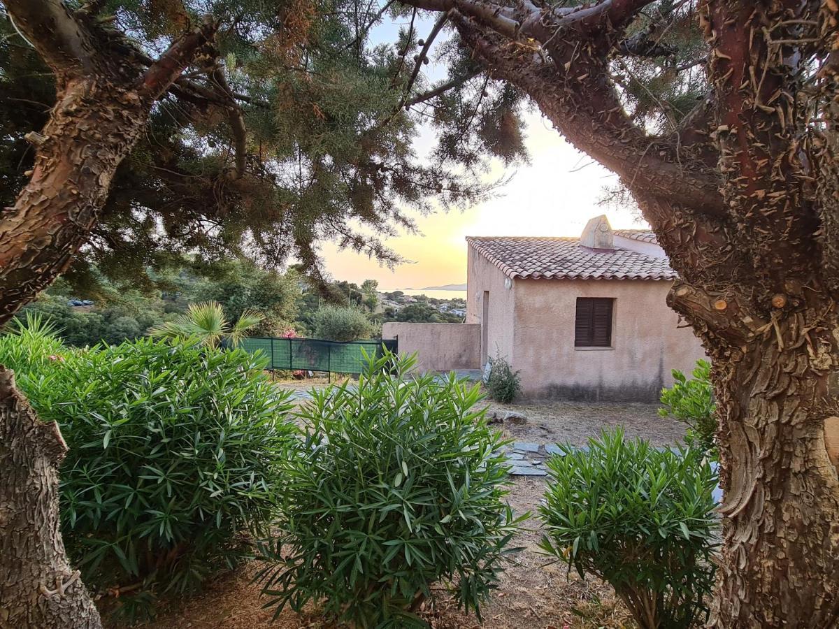 Studio Avec Terasse Vue Mer Porticcio  Εξωτερικό φωτογραφία