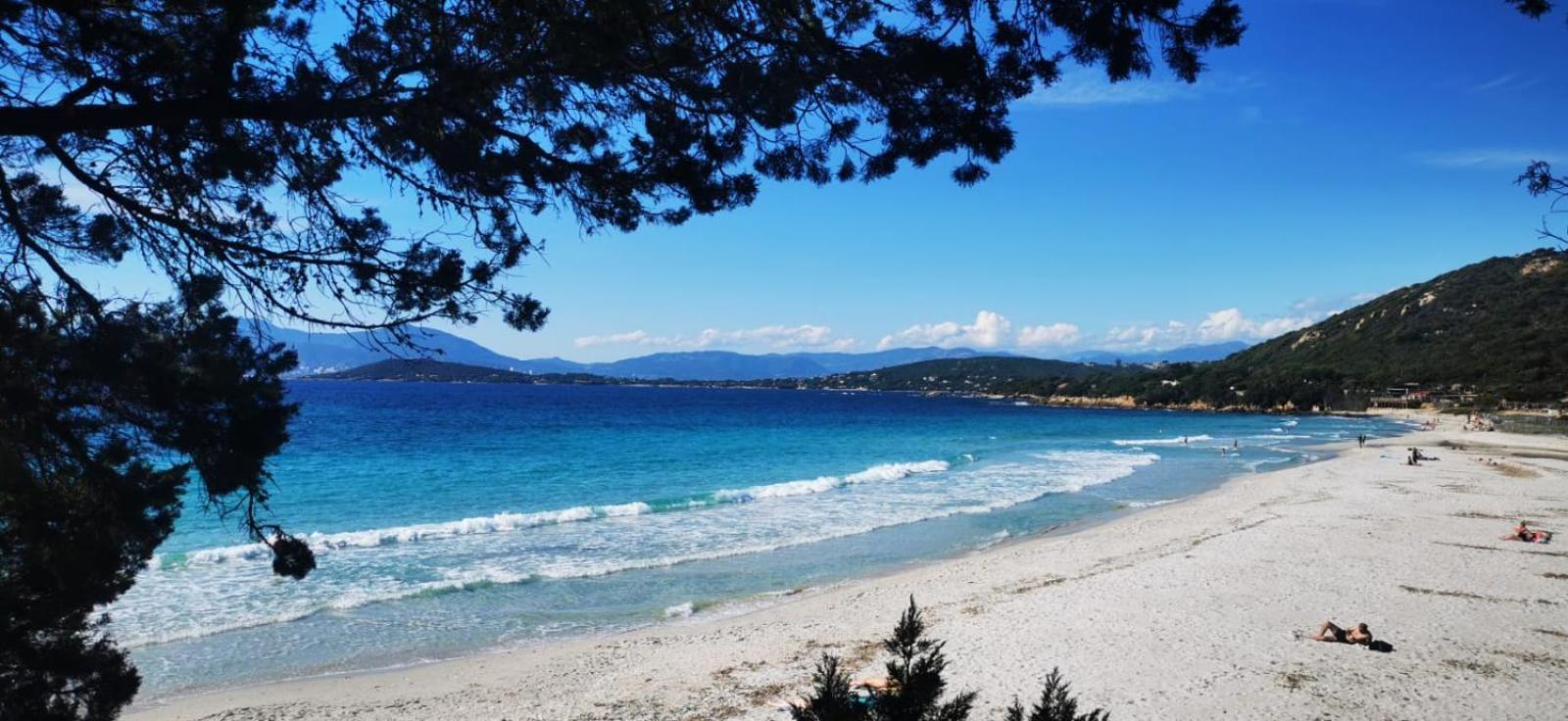 Studio Avec Terasse Vue Mer Porticcio  Εξωτερικό φωτογραφία